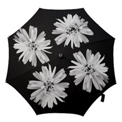 Daisy Floral  Black Bridesmaids Umbrella  by rainorshine