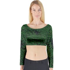 Green Moss Long Sleeve Crop Top