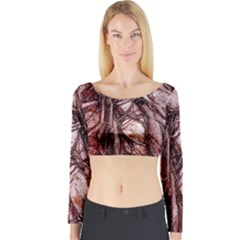 The Bleeding Tree Long Sleeve Crop Top