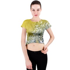 Dandelion 2015 0713 Crew Neck Crop Top