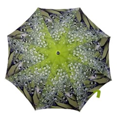 Dandelion 2015 0714 Hook Handle Umbrellas (medium) by JAMFoto