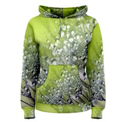 Dandelion 2015 0714 Women s Pullover Hoodies