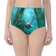 Wonderful Dolphin High-waist Bikini Bottoms