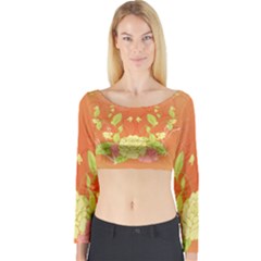 Beautiful Flowers In Soft Colors Long Sleeve Crop Top