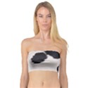 SPOTTED COW HIDE Women s Bandeau Tops View1