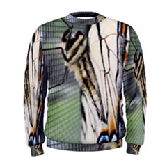 Butterfly 1 Men s Sweatshirts