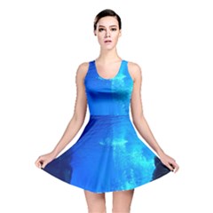 Underwater Trench Reversible Skater Dresses