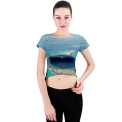 Great Blue Hole 1 Crew Neck Crop Top