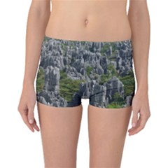 Stone Forest 1 Boyleg Bikini Bottoms by trendistuff