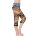 CAPITAL REEFS Capri Leggings View4