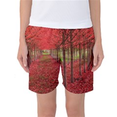 Avenue Of Trees Women s Basketball Shorts