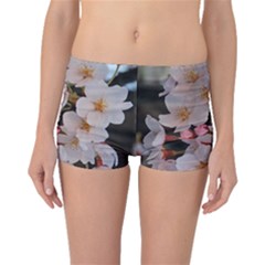 Sakura Boyleg Bikini Bottoms by trendistuff