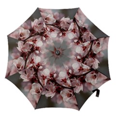 Plum Blossoms Hook Handle Umbrellas (medium) by trendistuff