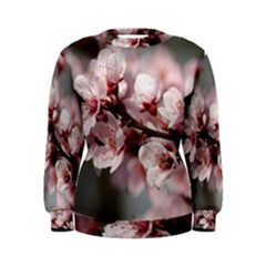 Plum Blossoms Women s Sweatshirts