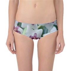 Hoyabella Classic Bikini Bottoms by trendistuff