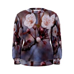 Cherry Blossoms Women s Sweatshirts