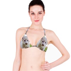 White Lion Cub Bikini Tops