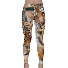 Baby Tigers Yoga Leggings by trendistuff