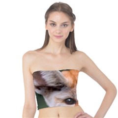 Baby Fox Women s Tube Tops