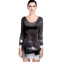 Kitty In A Corner Long Sleeve Bodycon Dresses