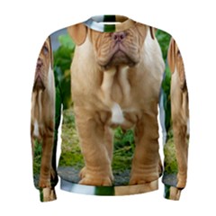 Cute Wrinkly Puppy Men s Sweatshirts