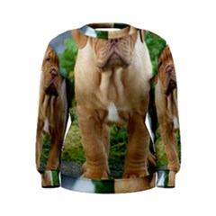 Cute Wrinkly Puppy Women s Sweatshirts