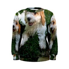 Cute Cavapoo Puppy Women s Sweatshirts