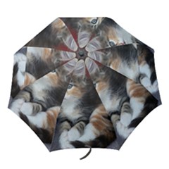 Comfy Kitty Folding Umbrellas