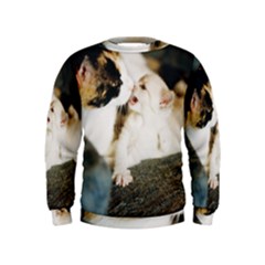 Calico Cat And White Kitty Boys  Sweatshirts by trendistuff