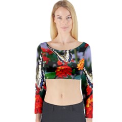 Butterfly Flowers 1 Long Sleeve Crop Top