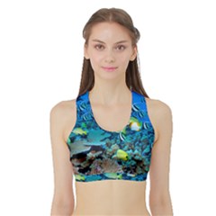 Fr Frigate Shoals Women s Sports Bra With Border