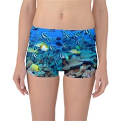 Fr Frigate Shoals Reversible Boyleg Bikini Bottoms by trendistuff