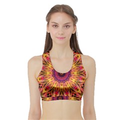 Gemstone Dream Women s Sports Bra With Border by Zandiepants