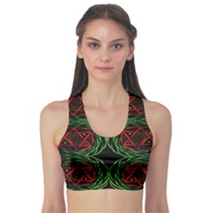 Jupiter Guide Sports Bra by MRTACPANS