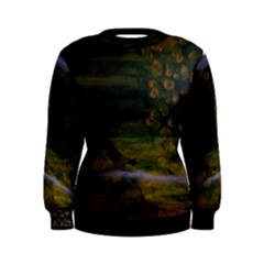 The Plight Women s Sweatshirt By Jocelyn Apple by appleartcom