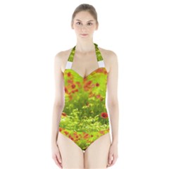 Poppy I Women s Halter One Piece Swimsuit