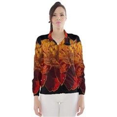 Marigold On Black Wind Breaker (women) by MichaelMoriartyPhotography