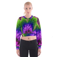 Amazing Special Fractal 25c Women s Cropped Sweatshirt by Fractalworld