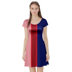 Pink And Blue Lines Short Sleeve Skater Dress