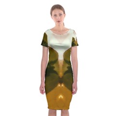 Abstract Reflections Orange Classic Short Sleeve Midi Dress