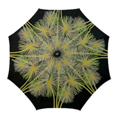 Dandelions Golf Umbrellas by Valentinaart