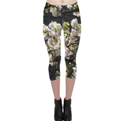 Japanese Cherry Blossom Capri Leggings 