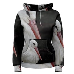 Stork Bird Women s Pullover Hoodie by picsaspassion