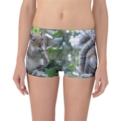 Gray Squirrel Eating Sycamore Seed Boyleg Bikini Bottoms by GiftsbyNature