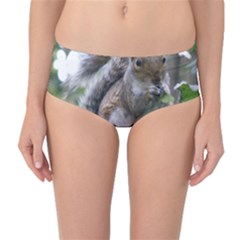 Gray Squirrel Eating Sycamore Seed Mid-waist Bikini Bottoms by GiftsbyNature