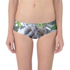 Gray Squirrel Eating Sycamore Seed Classic Bikini Bottoms by GiftsbyNature