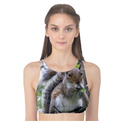 Gray Squirrel Eating Sycamore Seed Tank Bikini Top by GiftsbyNature