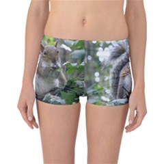 Gray Squirrel Eating Sycamore Seed Reversible Boyleg Bikini Bottoms by GiftsbyNature