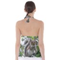 Gray Squirrel Eating Sycamore Seed Babydoll Tankini Top View2