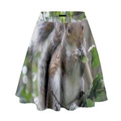 Gray Squirrel Eating Sycamore Seed High Waist Skirt by GiftsbyNature